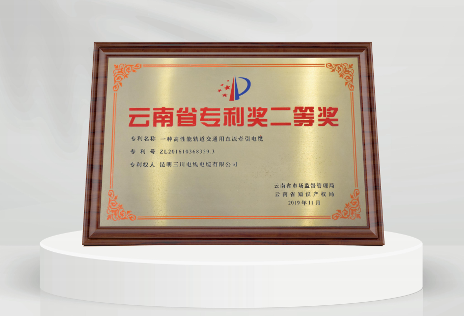 云南省专利奖二等奖.png